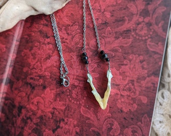 Turtle Mandible and Garnet Necklace, real bone jewelry