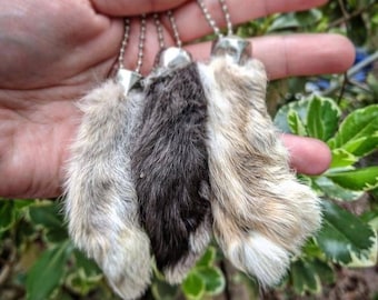 Lucky Rabbits Foot (real)