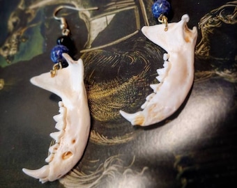 Mink mandible earrings with lapis lazuli and black jasper beads accents (jaw bone earrings)