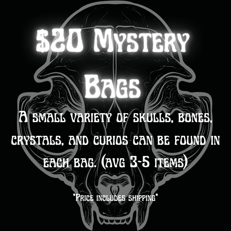Bone skulls and oddities mystery bag image 1