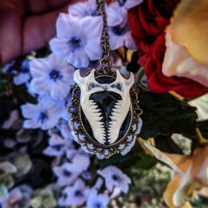 Mole jaw bone necklace, mandibles set in resin on Victorian style brass pendant image 1