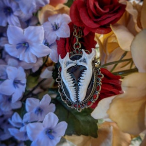 Mole jaw bone necklace, mandibles set in resin on Victorian style brass pendant image 4