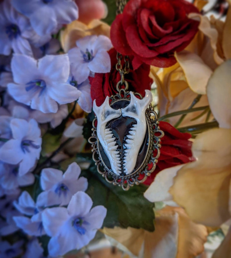 Mole jaw bone necklace, mandibles set in resin on Victorian style brass pendant image 4