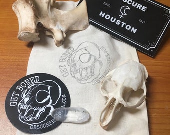 Bone, skulls, and oddities mystery bag