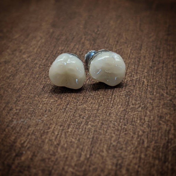 Human molars stud earrings (denture grade resin)