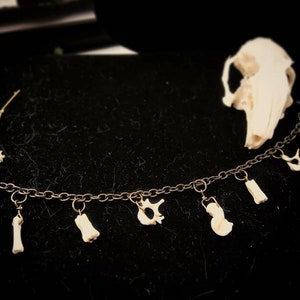 Tiny bone charm bracelet, adjustable up to 8in, real bone bracelet