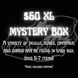 Oddities, skulls, and crystal mystery box
