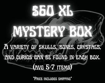 Oddities, skulls, and crystal mystery box