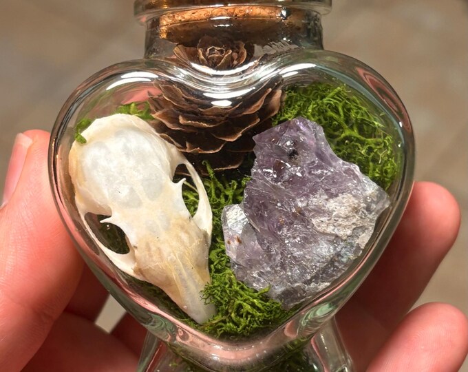 Chipmunk Skull Curio Jar Heart, Heart Shaped Jar, Mini Oddities ...