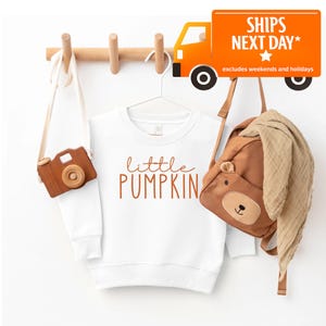 May include: A white sweatshirt with the words "little PUMPKIN" in orange script is hanging on a white hanger. A brown camera-shaped bag and a brown bear backpack are also hanging on a wooden rack.