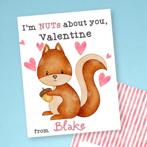 May include: Valentine's Day cards with a squirrel illustration and the text "I'm NUTS about you, Valentine" and "from Blake." The cards have a red and white striped pattern on the back and are surrounded by red and pink heart cutouts on a blue background.