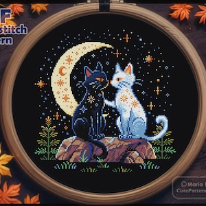 Puede incluir: Patrón de punto de cruz con dos gatos, uno negro y otro blanco, sentados bajo una luna creciente con estrellas. El patrón está sobre un fondo negro con un marco de madera.