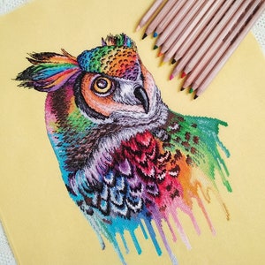 Cross Stitch Pattern rainbow Owl DMC Cross Stitch Chart Pattern ...