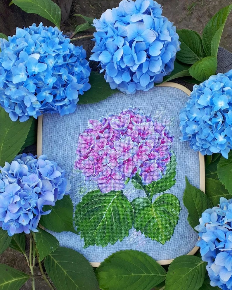 May include: A framed cross-stitch embroidery of a pink hydrangea flower with green leaves. The embroidery is surrounded by four blue hydrangea flowers.