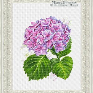 May include: A cross-stitch pattern featuring a cluster of pink and purple hydrangeas with green leaves. The pattern is titled "CutePatternsByMaria" and is by Maria Brovko.