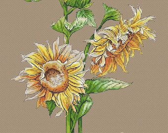 Patrón de punto de cruz Girasoles Gráfico DMC Imprimible PDF Descarga instantánea