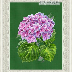 May include: Cross stitch pattern of a pink and purple hydrangea flower with green leaves on a green background. The pattern is titled "Maria Brovko (CutePatternsByMaria)".