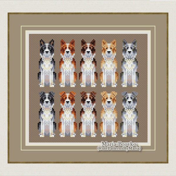 Cross Stitch Pattern Border Collie 5 color options and 2 ear options DMC Chart Printable PDF Instant Download