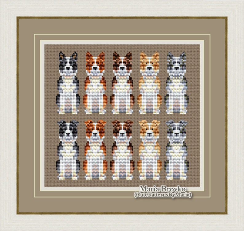 Cross Stitch Pattern Border Collie 5 Color Options and 2 Ear Etsy