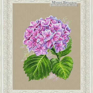 May include: Cross stitch pattern of a hydrangea flower with pink and purple petals and green leaves. The pattern is titled "Maria Brovko (CutePatternsByMaria)".