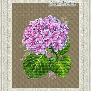May include: A cross-stitch pattern of a pink and purple hydrangea flower with green leaves. The pattern is framed in a white ornate frame. The text "Maria Brovko (CutePatternsByMaria)" is in the top right corner of the image.