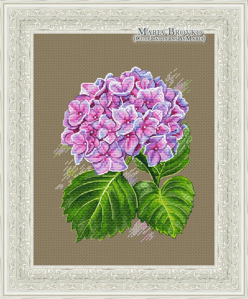 May include: A cross-stitch pattern of a pink and purple hydrangea flower with green leaves. The pattern is framed in a white ornate frame. The text "Maria Brovko (CutePatternsByMaria)" is in the top right corner of the image.
