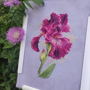 Cross Stitch Pattern "purple Iris" DMC Chart Embroidery Printable PDF ...