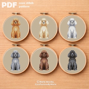 Modèle de point de croix Caniche 6 options Grille DMC PDF imprimable téléchargement immédiat