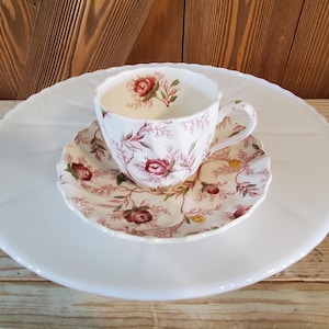 Petite Copeland Rosebud Chintz Tea Cup and Saucer Set