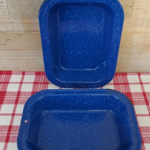 May include: Two blue enamelware rectangular trays with white speckles. The trays have rounded corners and a small hole on one side. They are set on a red and white checkered tablecloth.