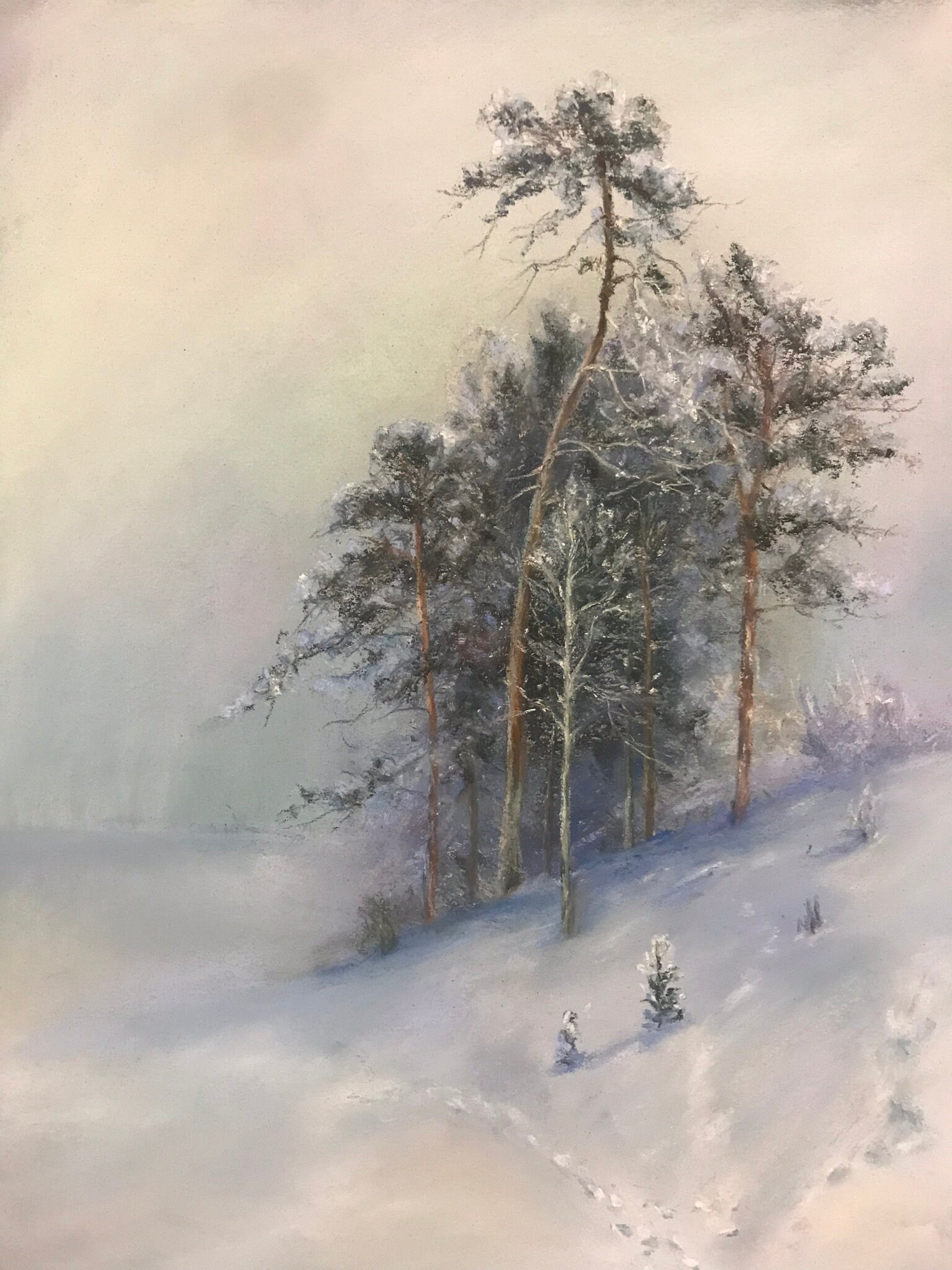 Cedar Tree in snow day original painting soft pastel wall art Etsy