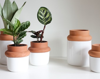 Vase, terracotta vase, indoor vase, plant pot - IDRO