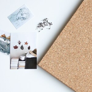 May include: A corkboard with a stack of books, a mug, a hat, and fall leaves pinned to it. There are also push pins scattered around the corkboard.