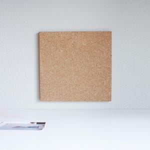 May include: A brown corkboard with a textured surface, mounted on a white wall.