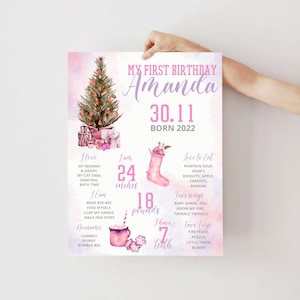 Winter Onederland Girl Milestones Sign, Holiday 1st Birthday Milestone Baby Girl Banner, Christmas Milestone Keepsake Infographic Poster