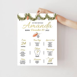 Winter Onederland Milestones Sign, Holiday 1st Birthday Milestone Boy Or Girl Banner, Christmas Milestone Infographic Poster Baby Keepsake