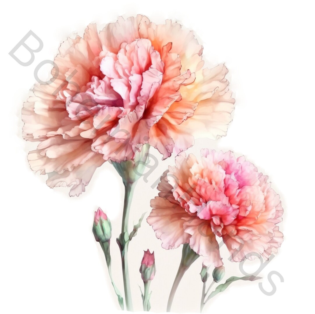 12 Printable Abstract Carnation Flowers Clipart Bundle | Watercolor ...