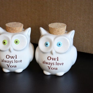 Small Ceramic Owl Jar with Cork Top Owl Always Love You Owl Take Care of That Tomorrow Owl Lover Gift Bag Included image 1