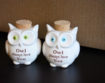 Small Ceramic Owl Jar with Cork Top - Owl Always Love You - Owl Take Care of That Tomorrow - Owl Lover - Gift Bag Included