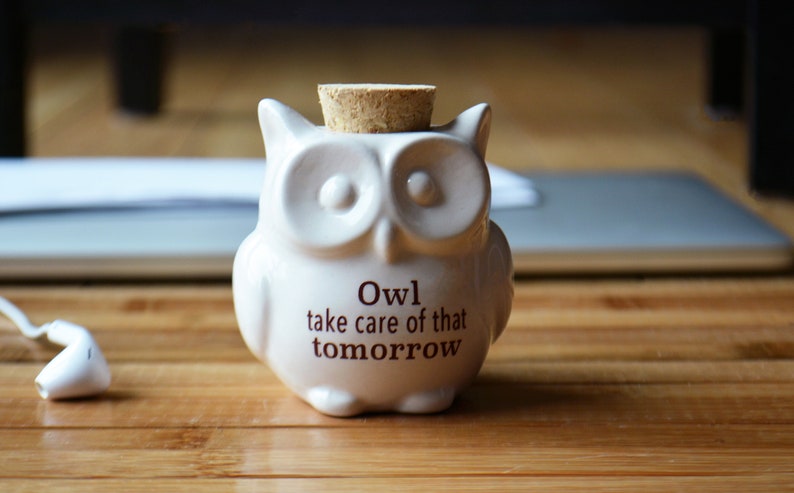 Small Ceramic Owl Jar with Cork Top Owl Always Love You Owl Take Care of That Tomorrow Owl Lover Gift Bag Included image 3