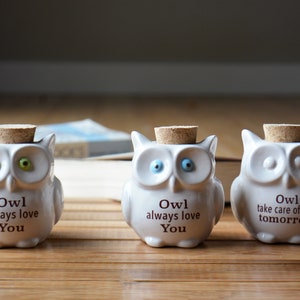 Small Ceramic Owl Jar with Cork Top Owl Always Love You Owl Take Care of That Tomorrow Owl Lover Gift Bag Included image 2