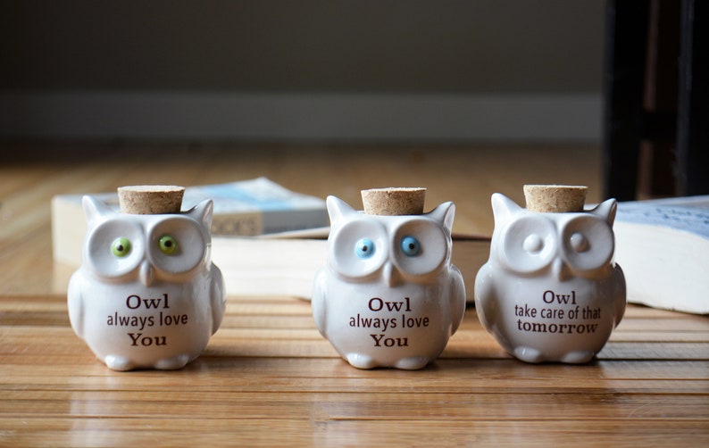 Small Ceramic Owl Jar with Cork Top Owl Always Love You Owl Take Care of That Tomorrow Owl Lover Gift Bag Included image 2