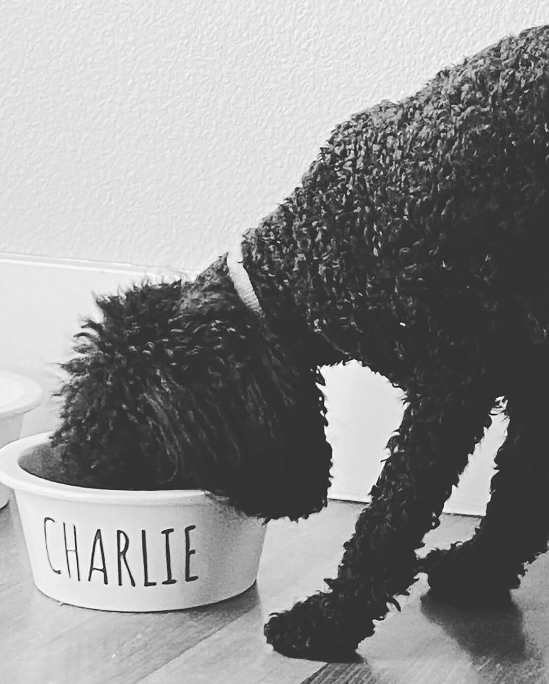 Personalized Ceramic Dog Bowl - Custom Pet Dish With Paw Print - Etsy