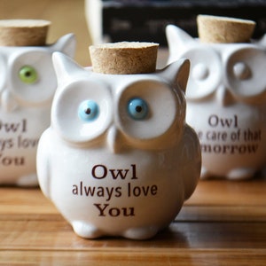 Small Ceramic Owl Jar with Cork Top Owl Always Love You Owl Take Care of That Tomorrow Owl Lover Gift Bag Included image 4