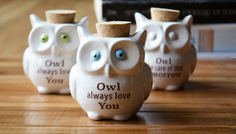 Small Ceramic Owl Jar with Cork Top Owl Always Love You Owl Take Care of That Tomorrow Owl Lover Gift Bag Included image 4