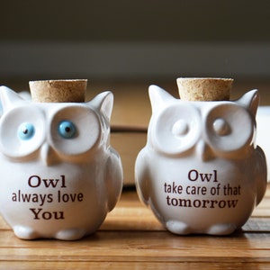 Small Ceramic Owl Jar with Cork Top Owl Always Love You Owl Take Care of That Tomorrow Owl Lover Gift Bag Included image 5