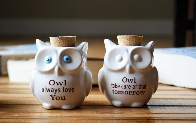 Small Ceramic Owl Jar with Cork Top Owl Always Love You Owl Take Care of That Tomorrow Owl Lover Gift Bag Included image 5