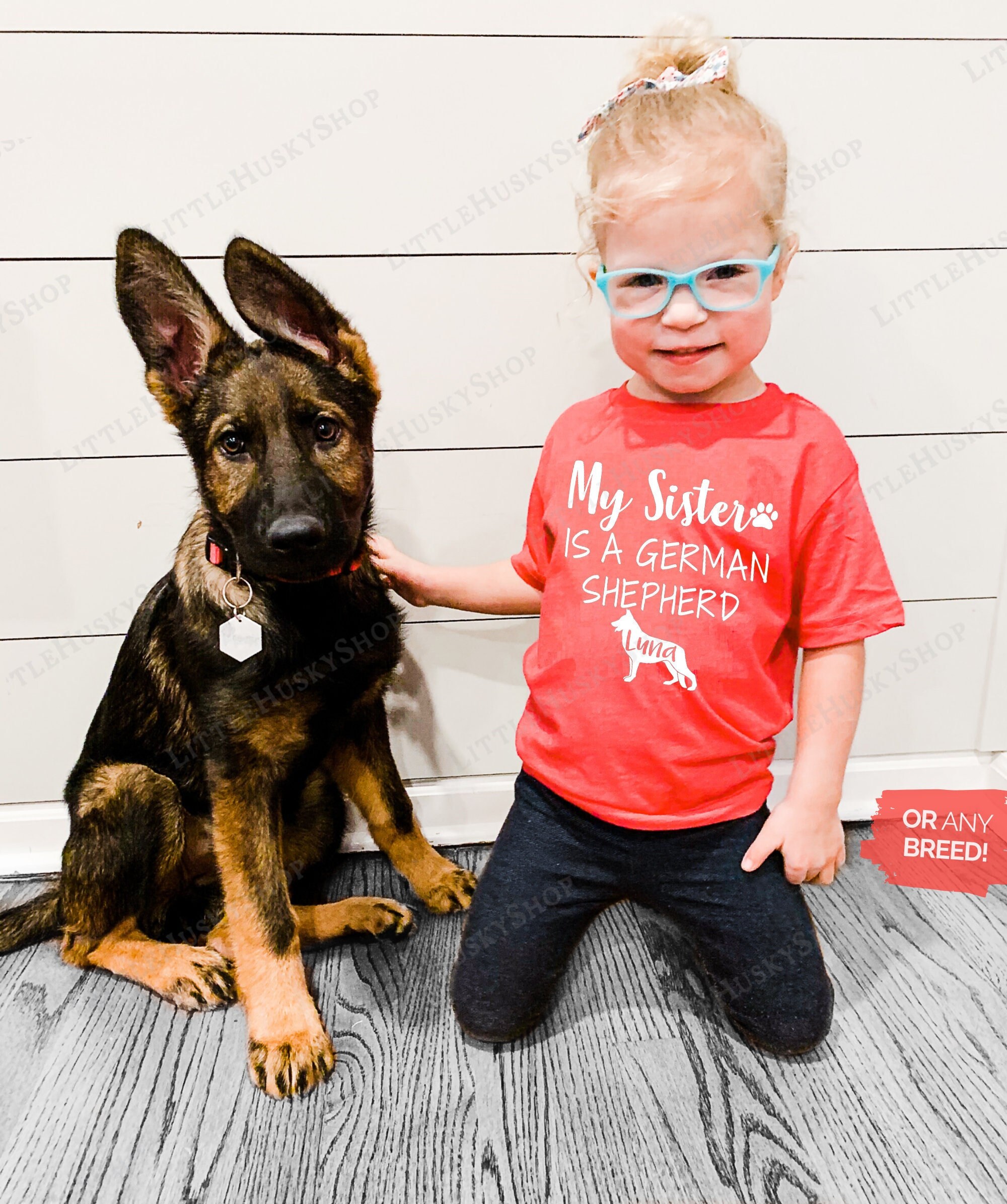 Can I Breed My Dog With His Sister