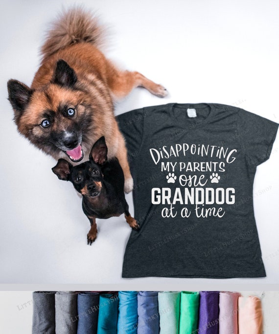 Disappointing My Parents One Granddog At A Time Sweatshirt