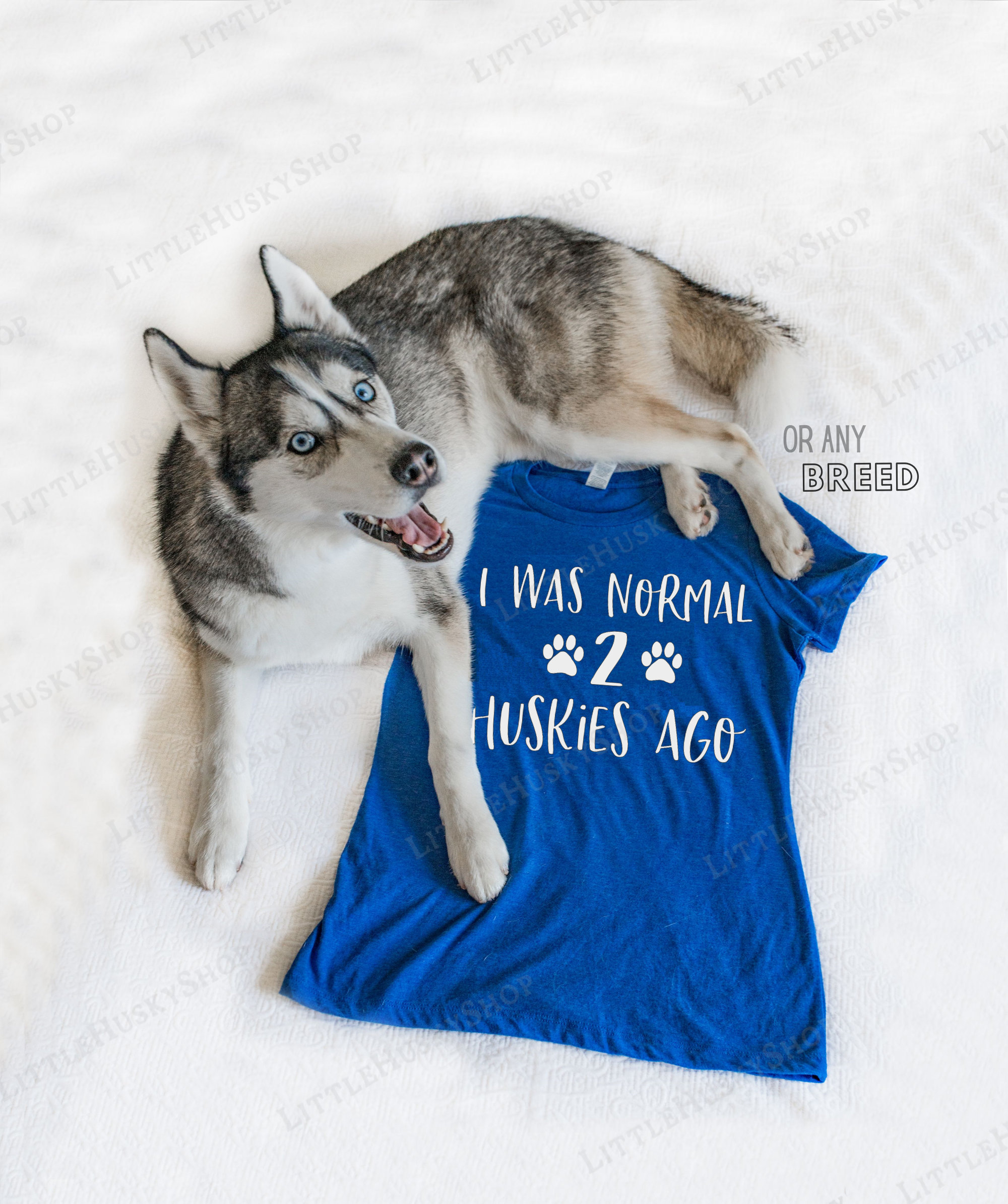 Husky hotsell dog shirts